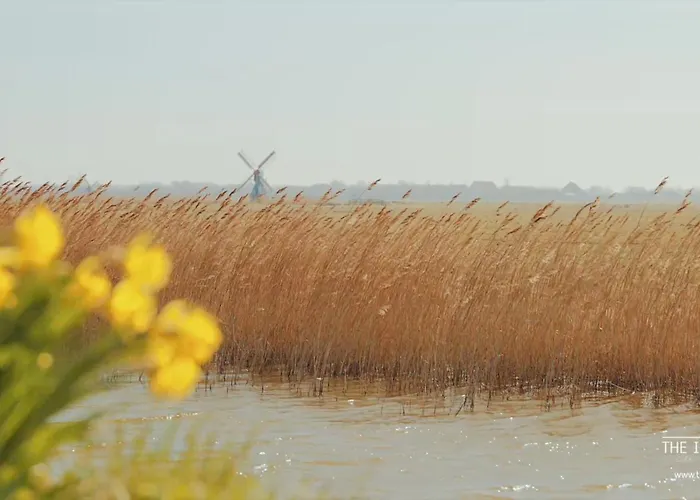 The Island Life Texel Met Jacuzzi 펜션 데쿠크